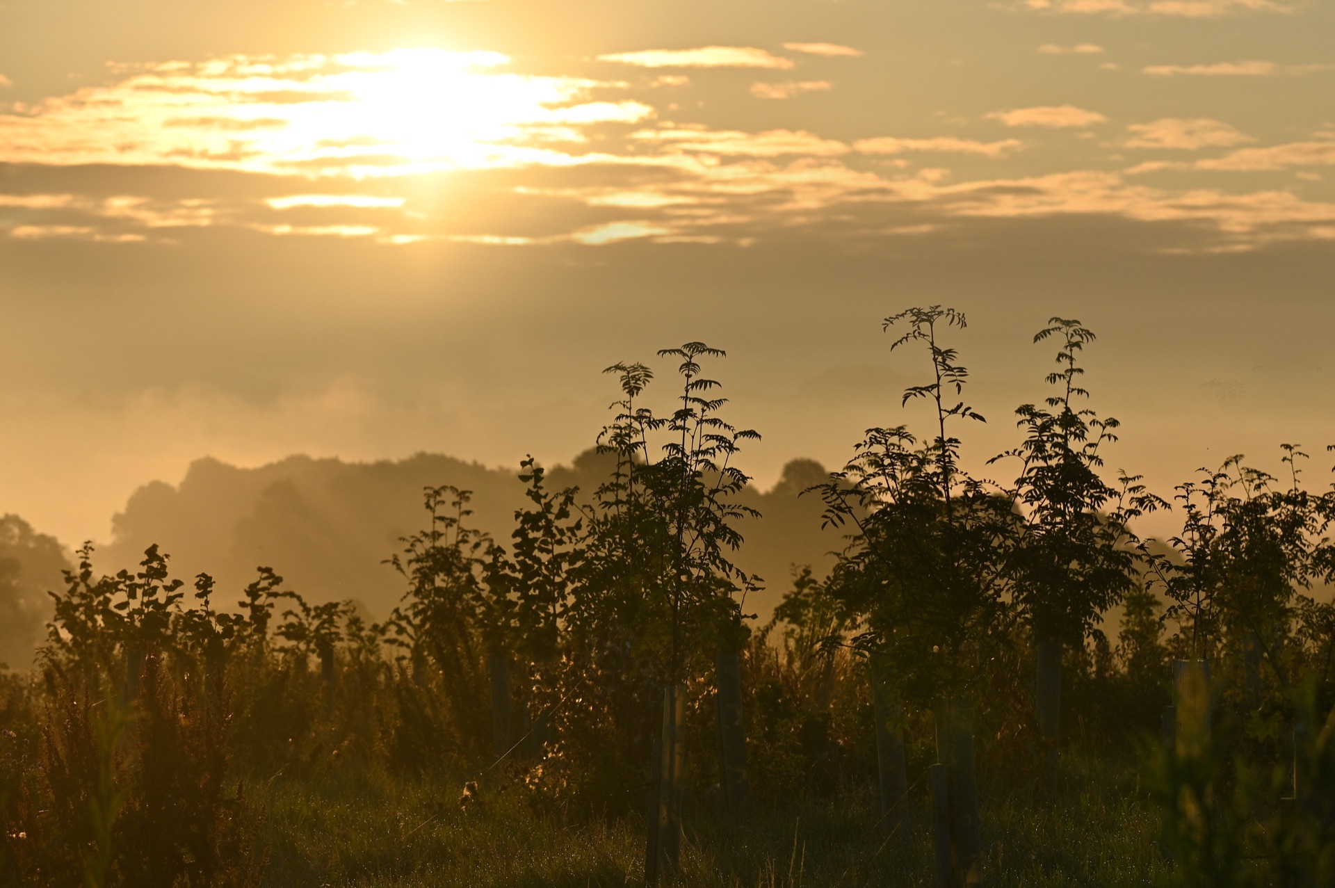 Broughton Sanctuary, Yorkshire — a 607-hectare CreditNature project where verified nature recovery is underway